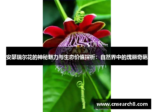 安瑟瑞尔花的神秘魅力与生态价值探析：自然界中的瑰丽奇葩